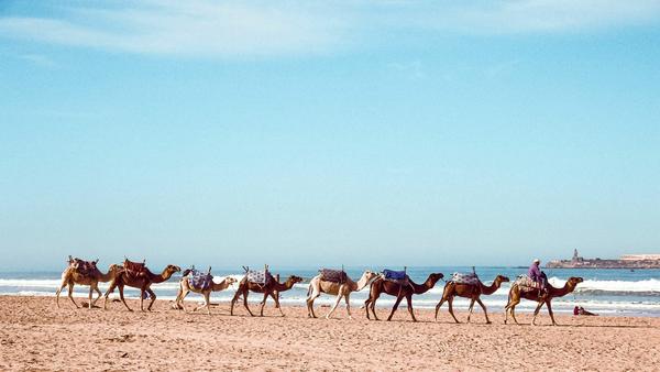Whether you’re looking to surf up a storm or catch some rays, these Moroccan beaches are sun-soaked favourites for travellers