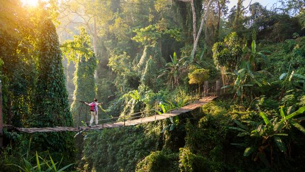 From the imposing peaks surrounding Chiang Mai to the viewpoint atop Tiger Cave Temple, all paths leads to incredible hikes in Thailand