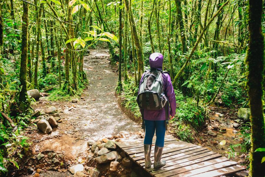 Find out the best time for whale watching, surfing, and dreamy beach breaks with this definitive guide to Costa Rica’s weather