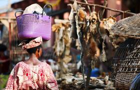 The vibrant nations of Benin, Ghana, and Togo are an enriching trio — find out how to immerse yourself in their very best places to visit